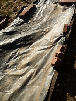 soil-building-warmth soil building warmth